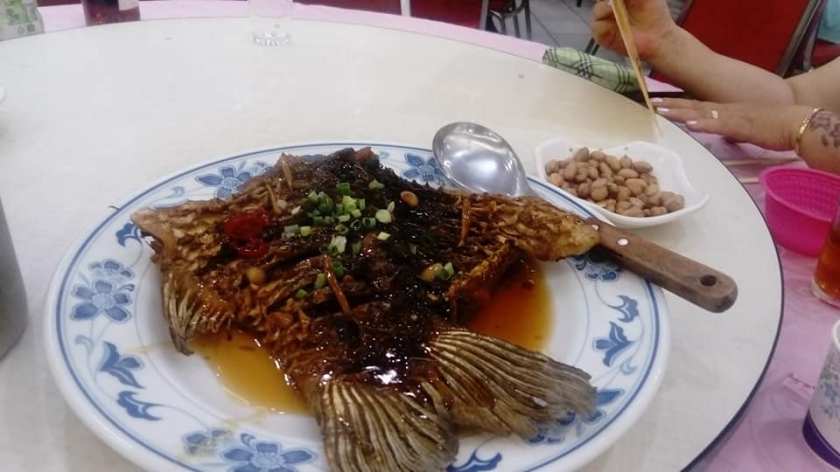 38482130_10155462811885178_8102654587875360768_n